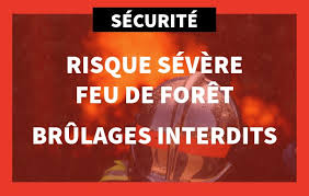 Passage de la Charente-Maritime en risque sévère feu de forêt